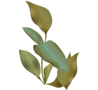 Theme Leaf Element