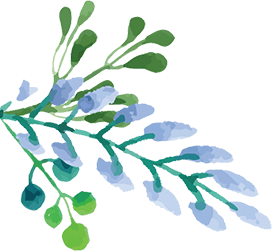 Theme Leaf Element